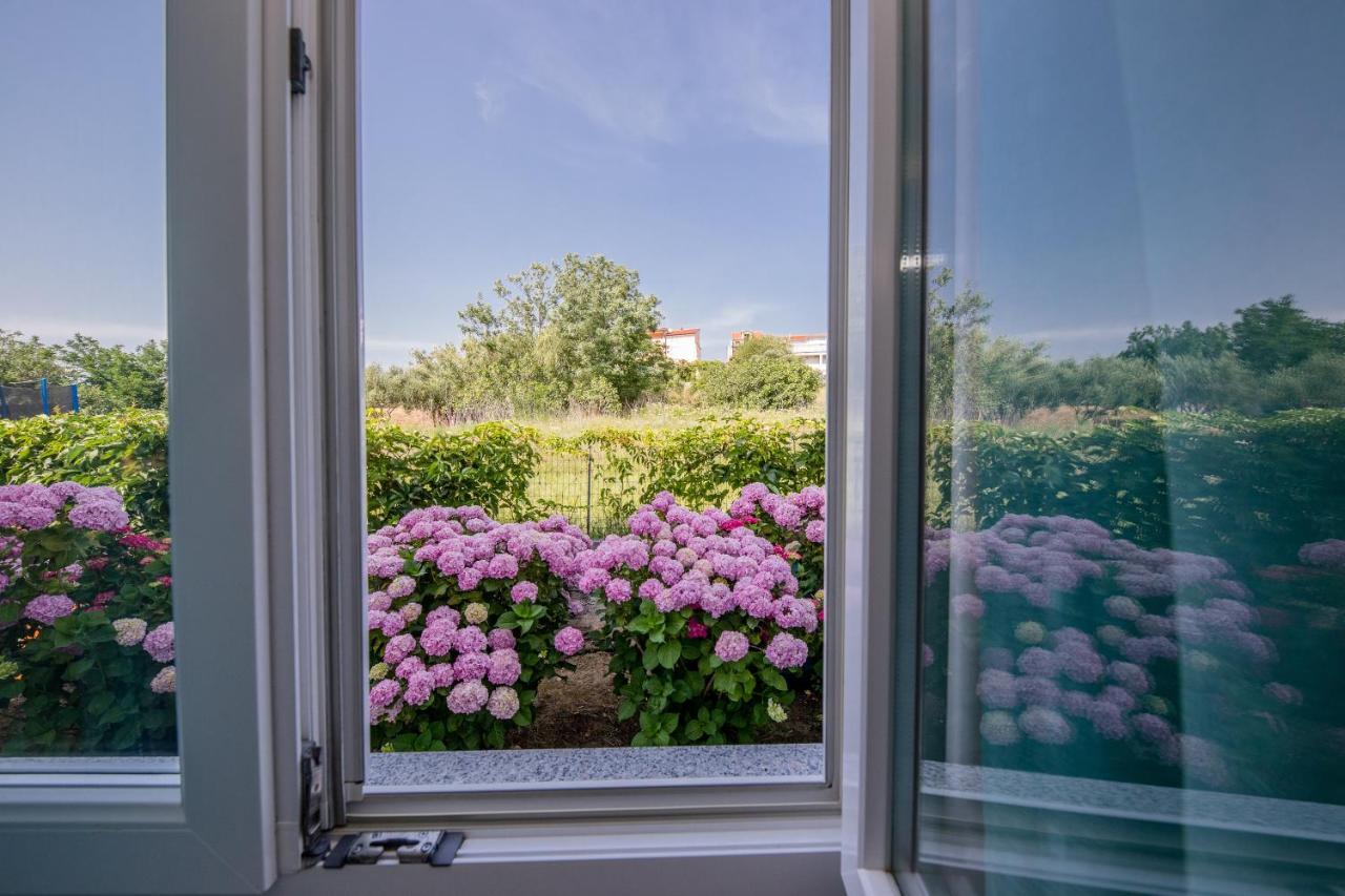 Zeljko Apartmani Lopar Bagian luar foto